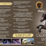 programma 1 maggio 16 corretto