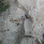 Cave Orto Di Ballo (7)